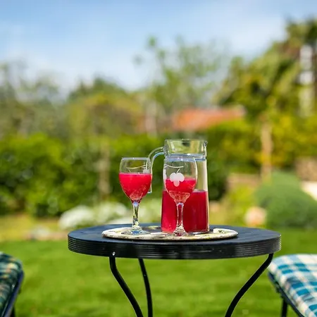 Olive Garden & Sunset View Apartment *